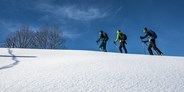 hotels-und-ferienwohnungen-im-oberallgaeu - Schneeschuh Festival Oberstaufen - Schneeschuh Festival Oberstaufen 2023
