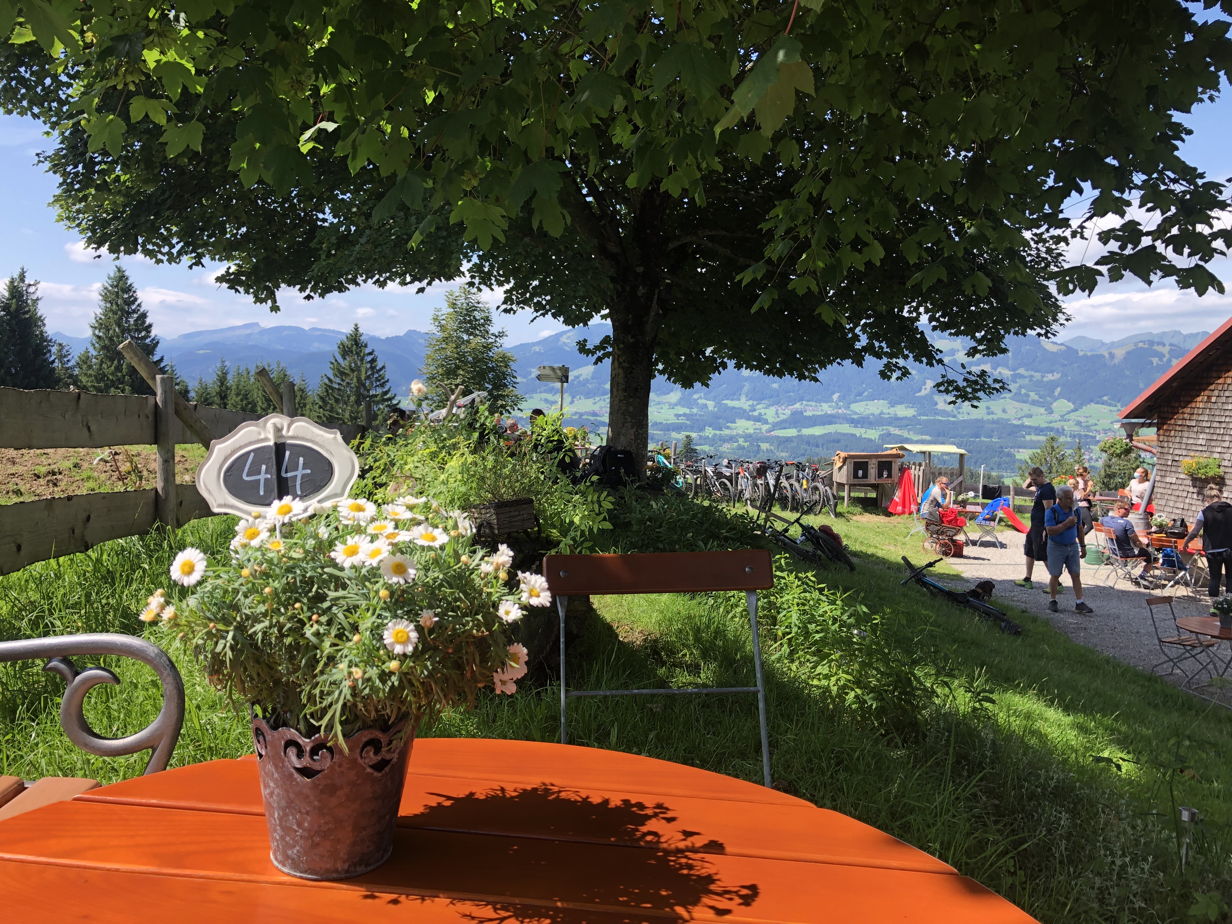Hotels und Ferienwohnungen im Oberallgäu - Das Trio Alpenspitzbüebe beim Hofabend auf dem Sonthofer Hof - Hofabend auf der Alpe Sonthofer Hof