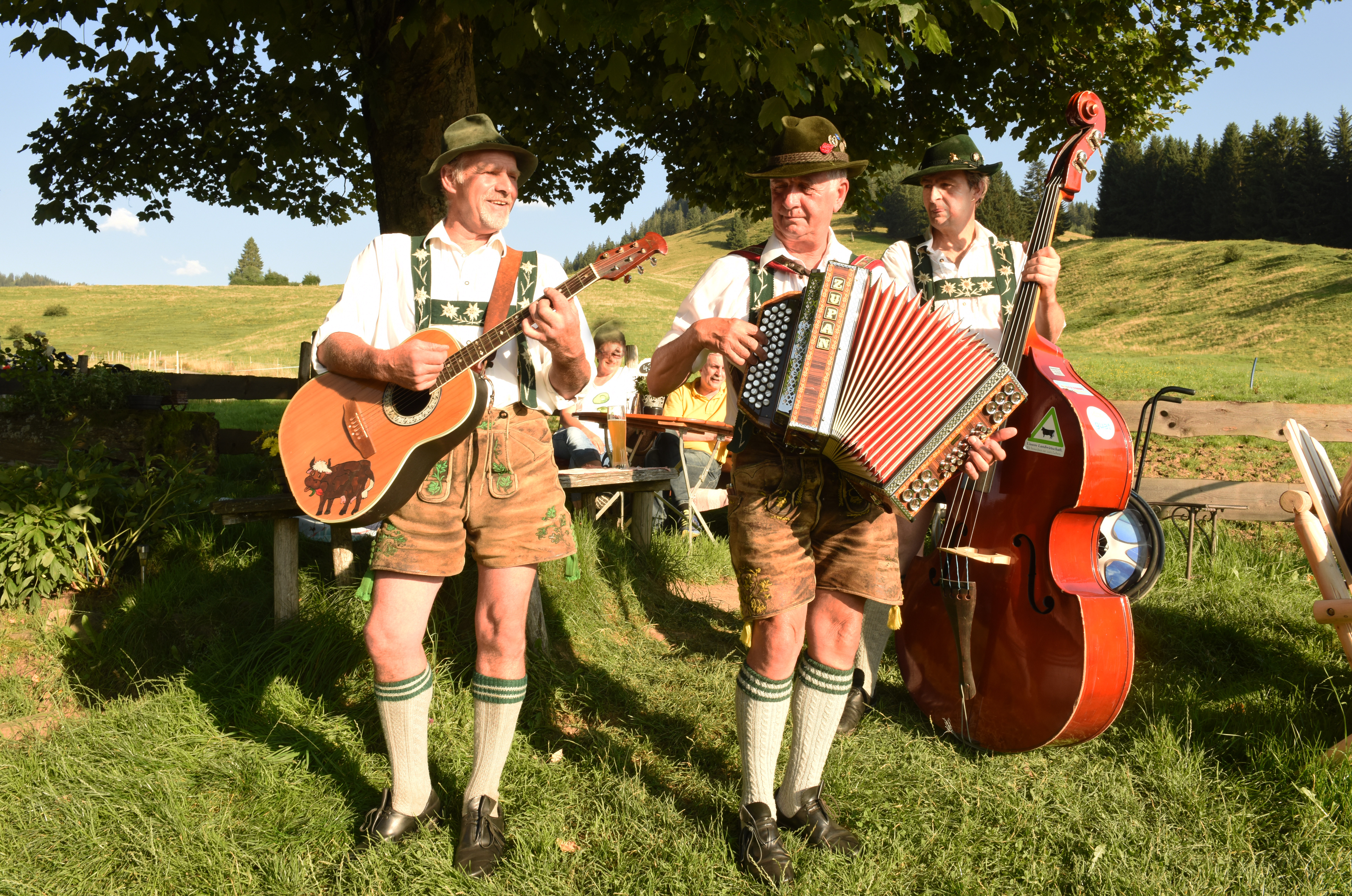 Veranstaltungen im Oberallgäu: Sonthofer Kreativsommer präsentiert: Trio D'r Ui D'r Seal & D'r Ondr