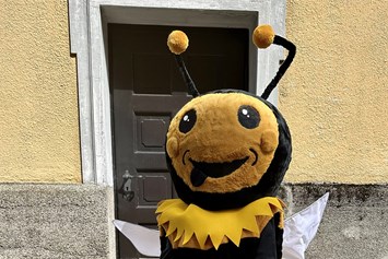 Veranstaltungen im Oberallgäu: Immi beim Stadtfest in Immenstadt im Allgäu  - Stadtfest in Immenstadt im Allgäu 2024