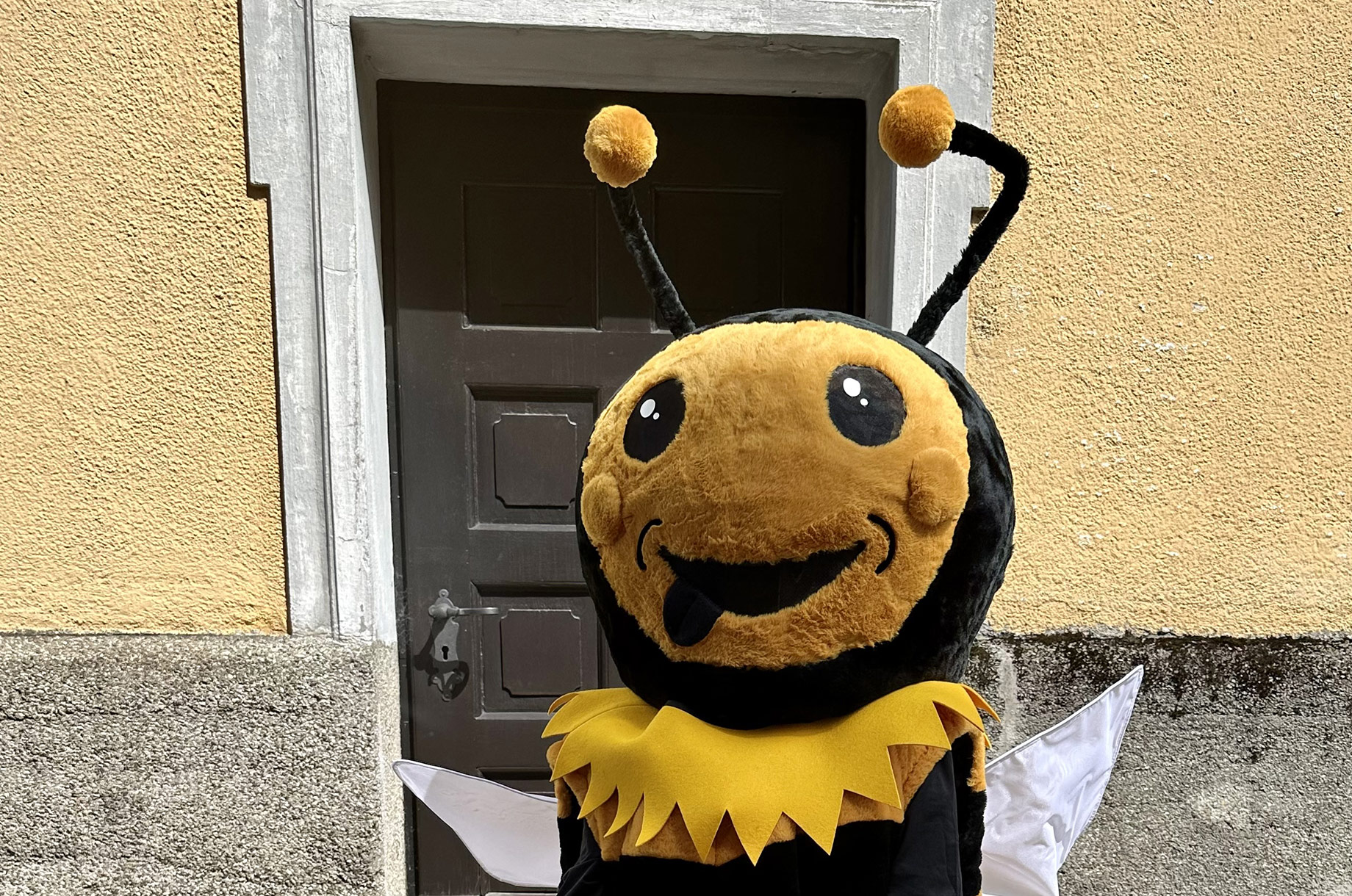 Veranstaltungen im Oberallgäu: Immi beim Stadtfest in Immenstadt im Allgäu  - Stadtfest in Immenstadt im Allgäu
