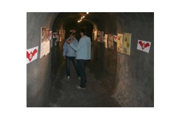Veranstaltungen im Oberallgäu: Tunnelführung mit Fledermausausstellung