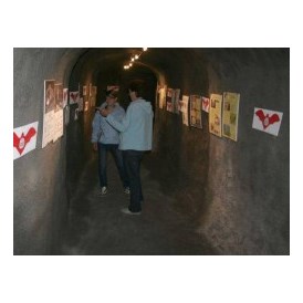 Veranstaltungen im Oberallgäu: Tunnelführung mit Fledermausausstellung