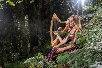Veranstaltungen im Oberallgäu: Über den Hügeln von Connemara – Irische Geschichten und Keltische Harfe