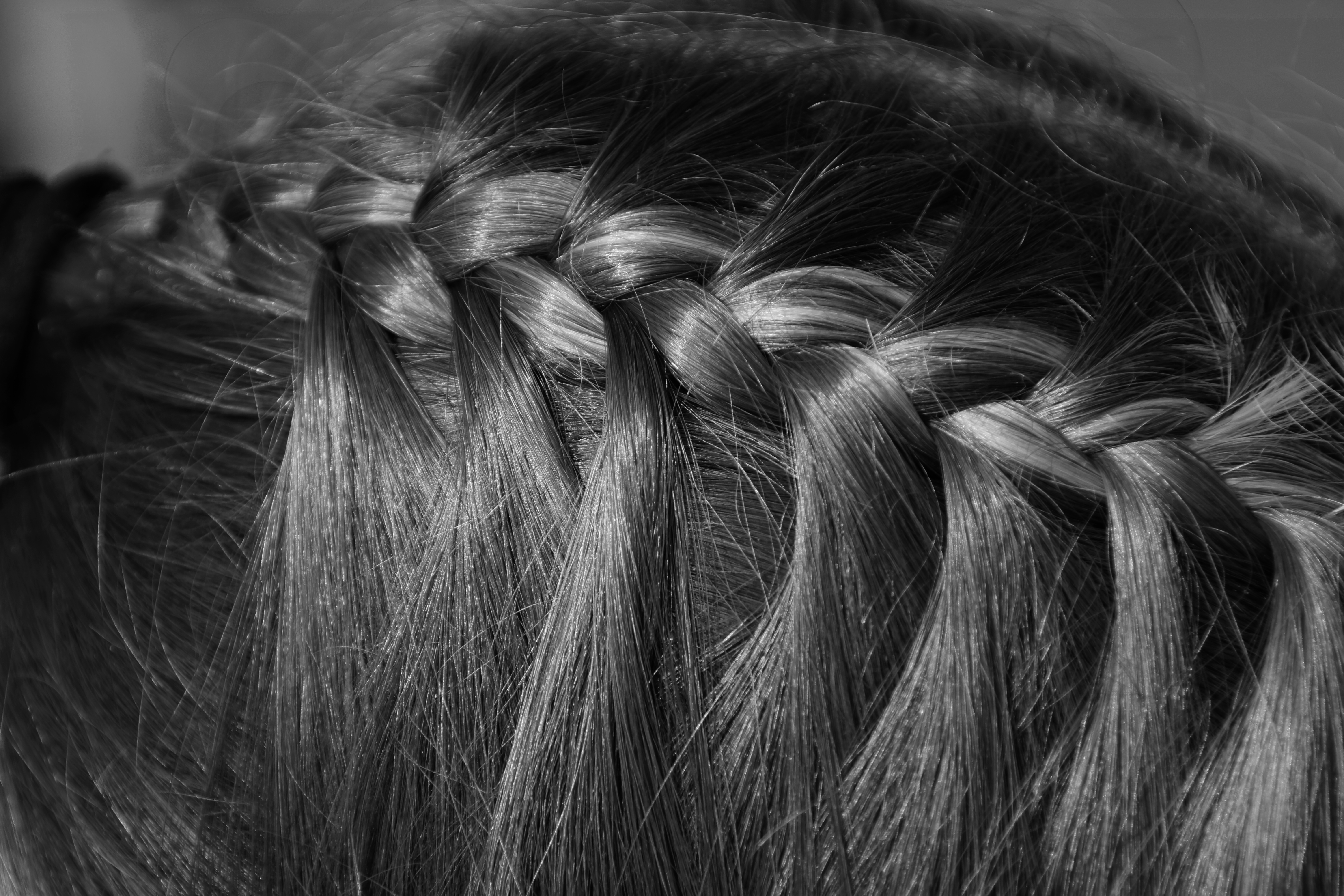 Veranstaltungen im Oberallgäu: Alpabtrieb in Bad Hindelang - Viehscheid Bad Hindelang 2026