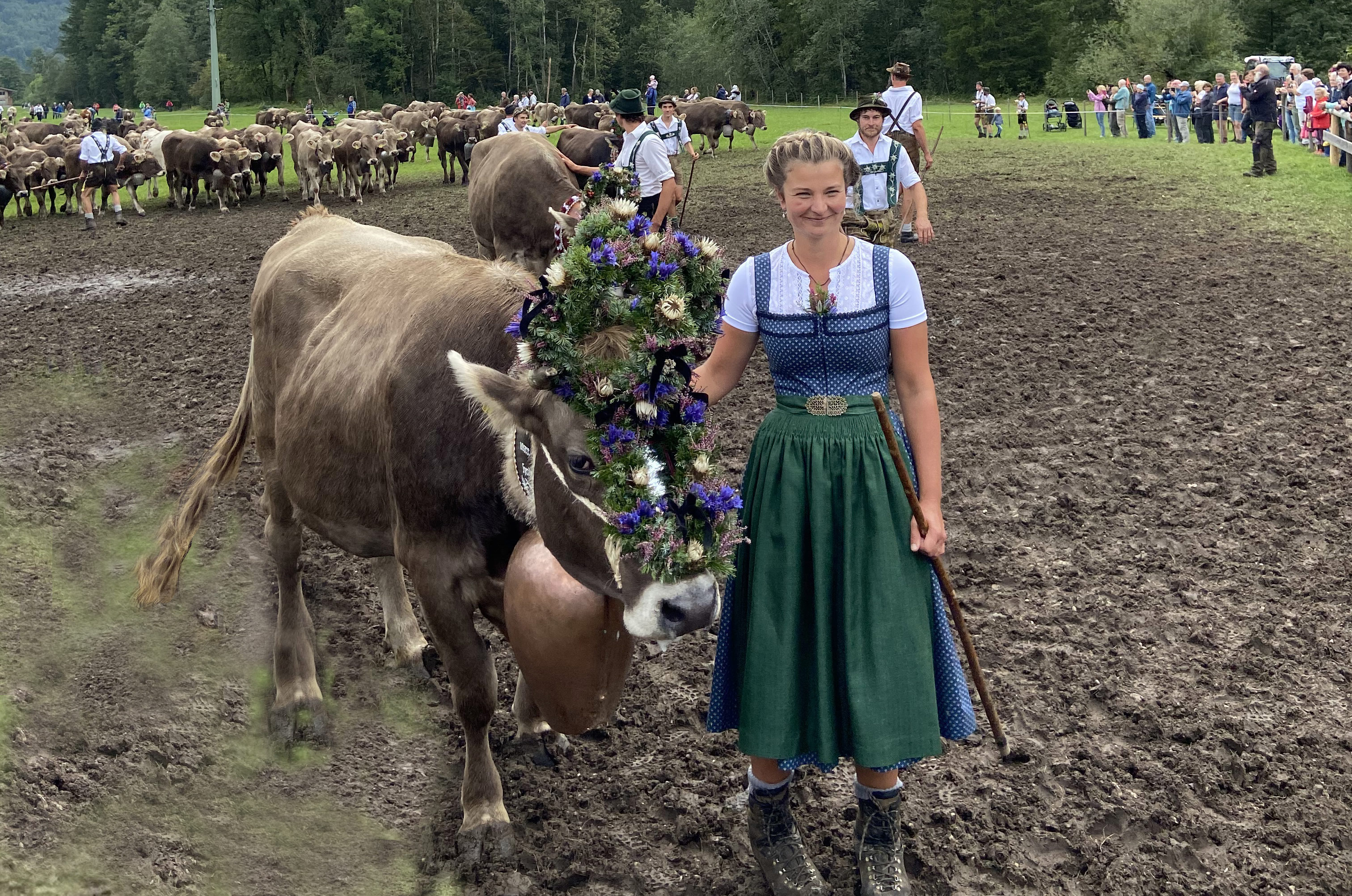 Veranstaltungen im Oberallgäu: Viehscheid in Bad Hindelang - Viehscheid Bad Hindelang 2026