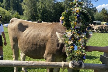 Veranstaltungen im Oberallgäu: Viehscheid in Bad Hindelang - Viehscheid in Bad Hindelang 2024