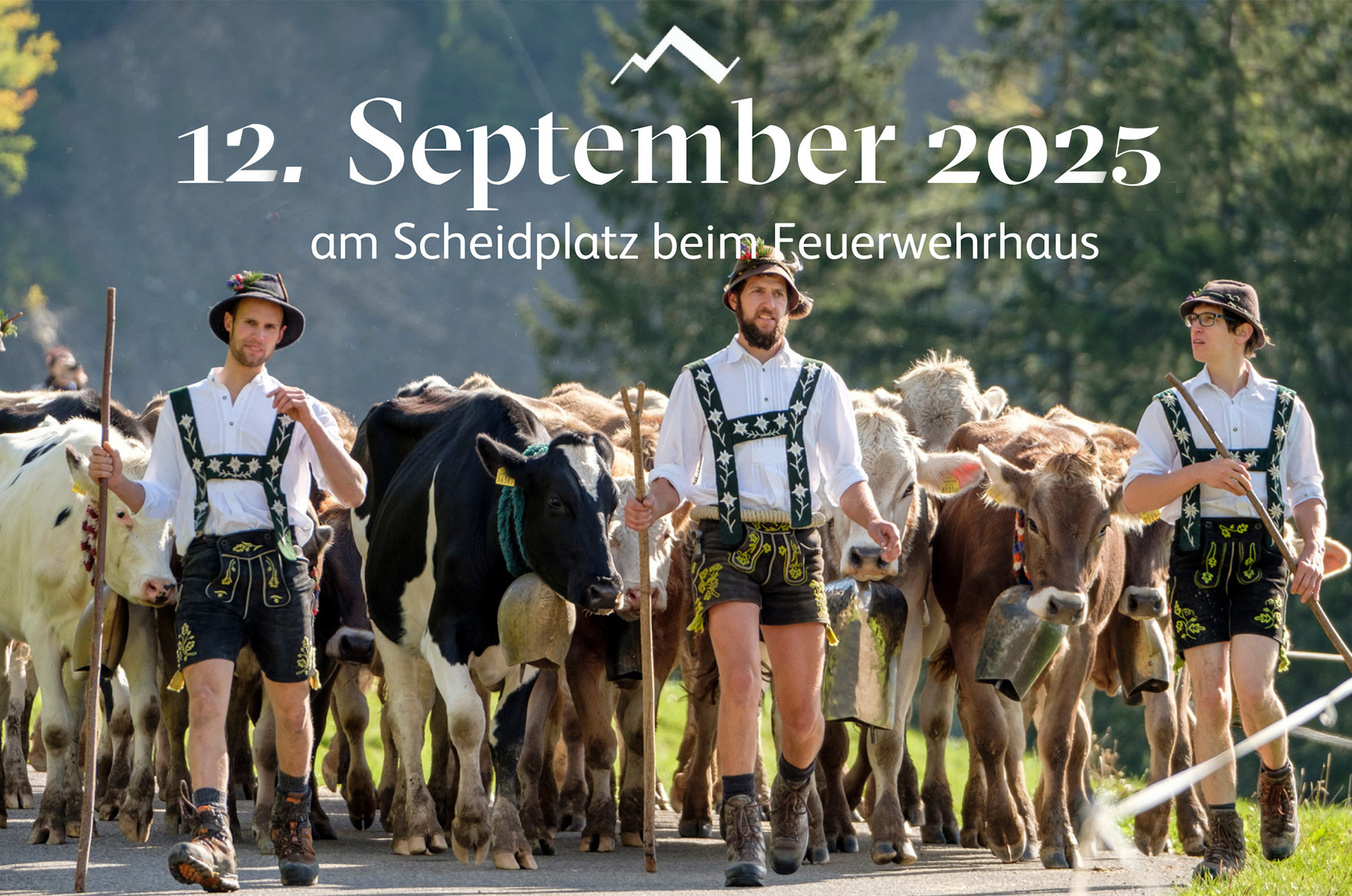 Veranstaltungen im Oberallgäu: Viehscheid / Alpabtrieb in Balderschwang im Allgäu - Viehscheid in Balderschwang im Allgäu