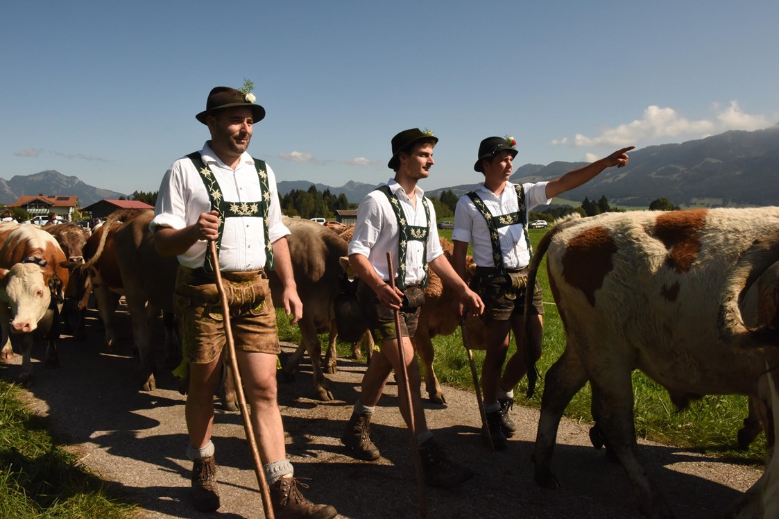 Veranstaltungen im Oberallgäu: Viehscheid in Bolsterlang - Viehscheid 2023 in Bolsterlang