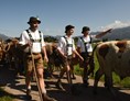 Veranstaltungen im Oberallgäu: Viehscheid in Bolsterlang - Viehscheid 2023 in Bolsterlang