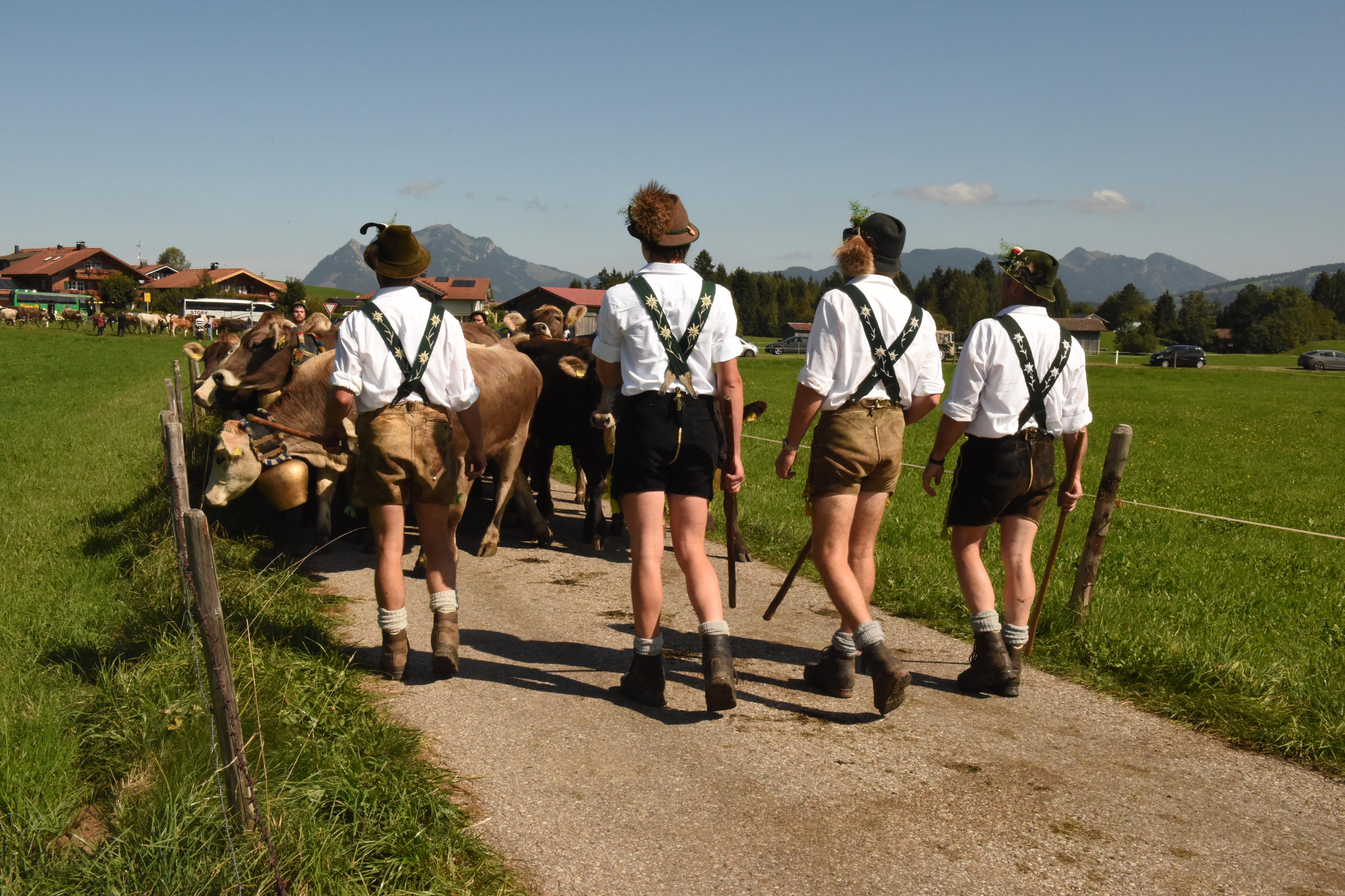 Hotels und Ferienwohnungen im Oberallgäu - Viehscheid in Bolsterlang im Allgäu - Viehscheid 2026 in Bolsterlang im Allgäu