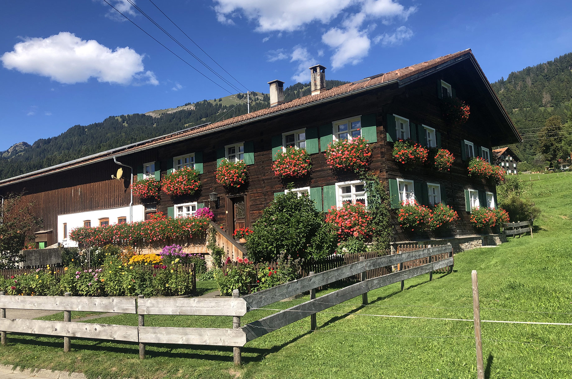 Veranstaltungen im Oberallgäu: Viehscheid in Blaichach - Gunzesried im Oberallgäu - Viehscheid Gunzesried 2026