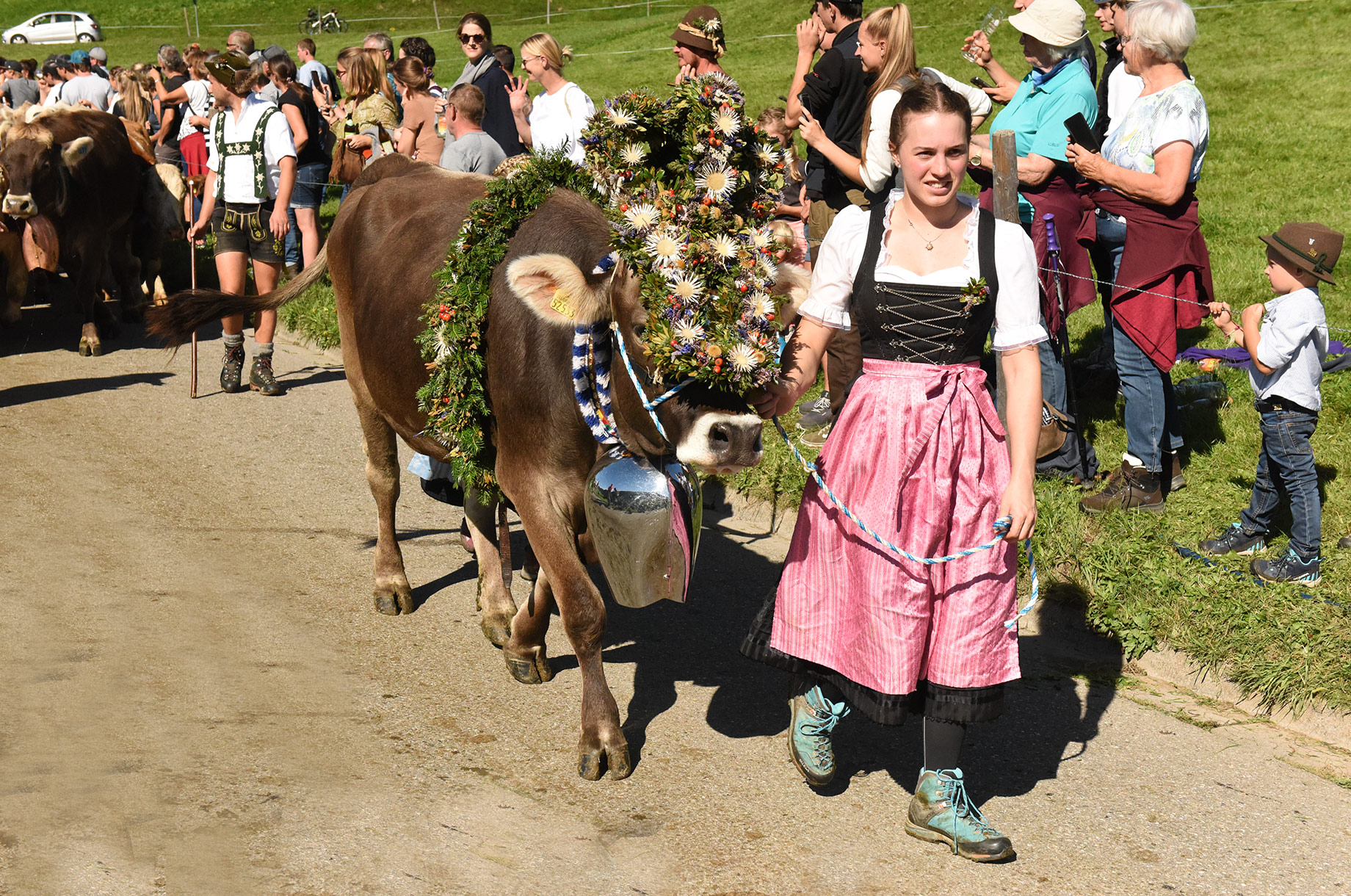 Veranstaltungen im Oberallgäu: Viehscheid in Blaichach - Gunzesried im Oberallgäu - Viehscheid Gunzesried 2026