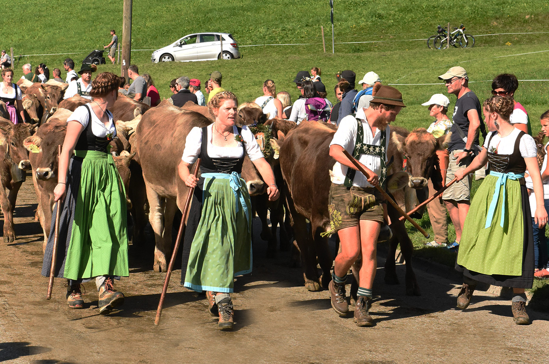 Hotels und Ferienwohnungen im Oberallgäu - Wetter: bei jedem Wetter - Viehscheid in Blaichach - Gunzesried im Oberallgäu - Viehscheid Gunzesried 2026