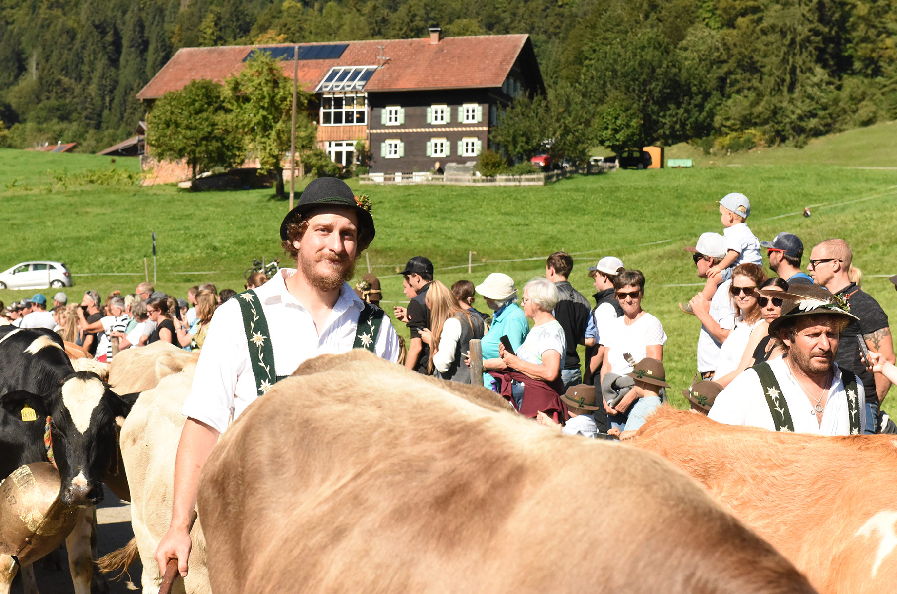 Veranstaltungen im Oberallgäu: Viehscheid in Blaichach - Gunzesried im Oberallgäu - Viehscheid Gunzesried 2026