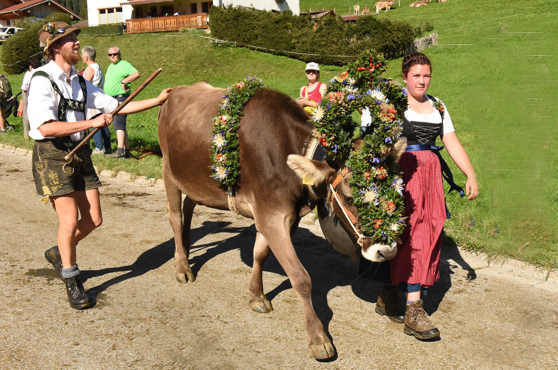 Veranstaltungen im Oberallgäu: Viehscheid in Blaichach - Gunzesried im Oberallgäu - Viehscheid Gunzesried 2026