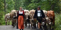 Hotels und Ferienwohnungen im Oberallgäu - Kategorien: Viehscheid - Deutschland - Viehscheid in Immenstadt - Viehscheid 2024 mit Warm-Up in Immenstadt 