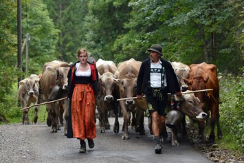 Veranstaltungen im Oberallgäu: Viehscheid in Immenstadt - Viehscheid 2024 mit Warm-Up in Immenstadt 