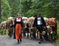 Veranstaltungen im Oberallgäu: Viehscheid in Immenstadt - Viehscheid in Immenstadt 2024 mit Warm-Up 