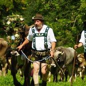 Gastgeber im Oberallgäu - Alpabtrieb in Oberstdorf im Allgäu - Viehscheid 2023 in Oberstdorf im Allgäu