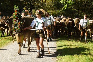 Veranstaltungen im Oberallgäu: Viehscheid in Oberstdorf im Allgäu - Viehscheid 2024 in Oberstdorf im Allgäu