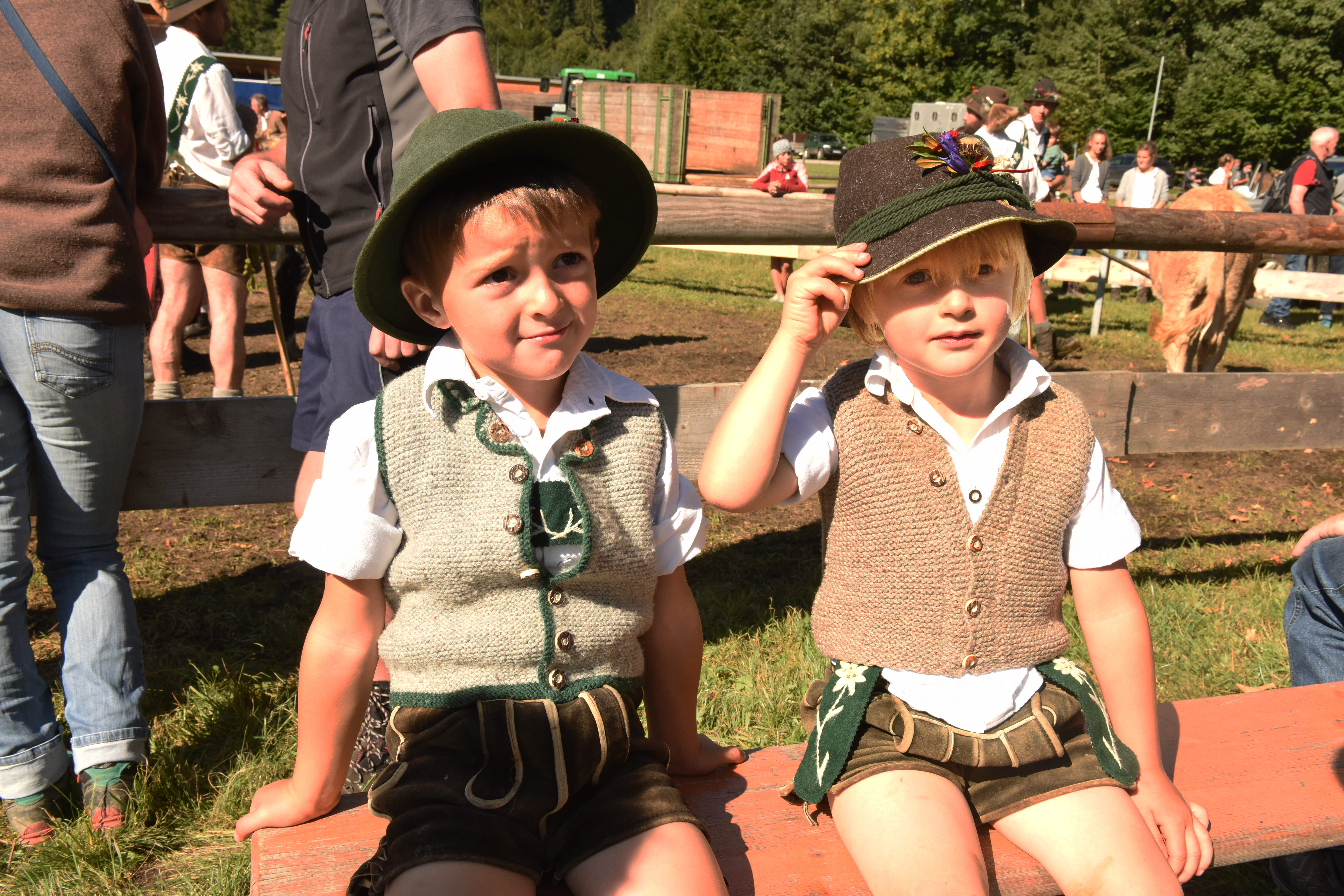 Hotels und Ferienwohnungen im Oberallgäu - Wetter: bei jedem Wetter - Alpabtrieb in Oberstdorf im Allgäu - Viehscheid in Oberstdorf am 12.09.2026