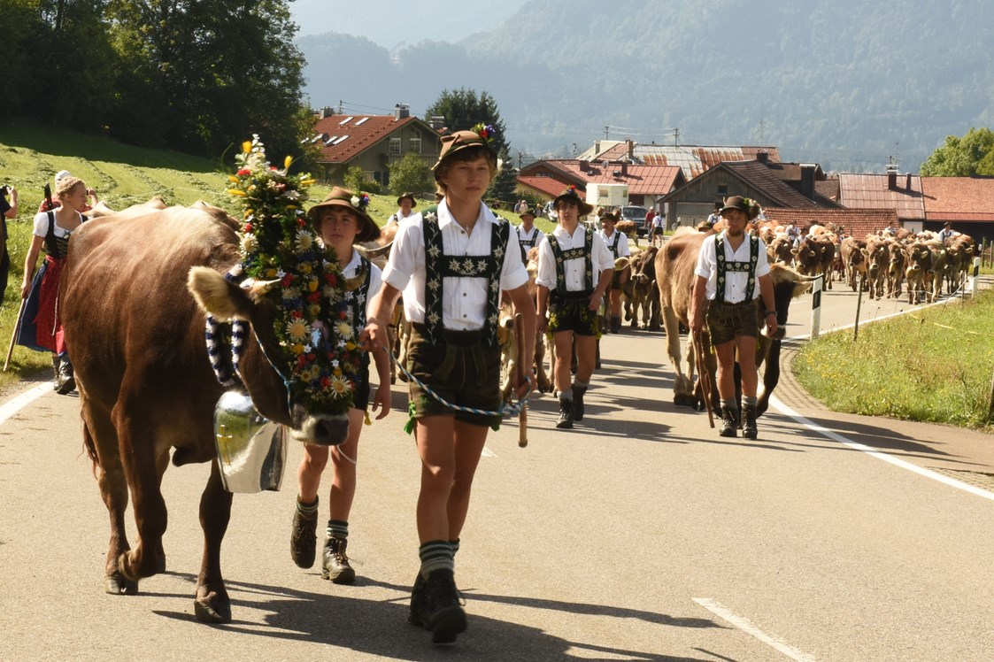 Veranstaltungen im Oberallgäu: Der Viehscheid in Oberstdorf - Schöllang im Allgäu - Viehscheid in Schöllang 2024