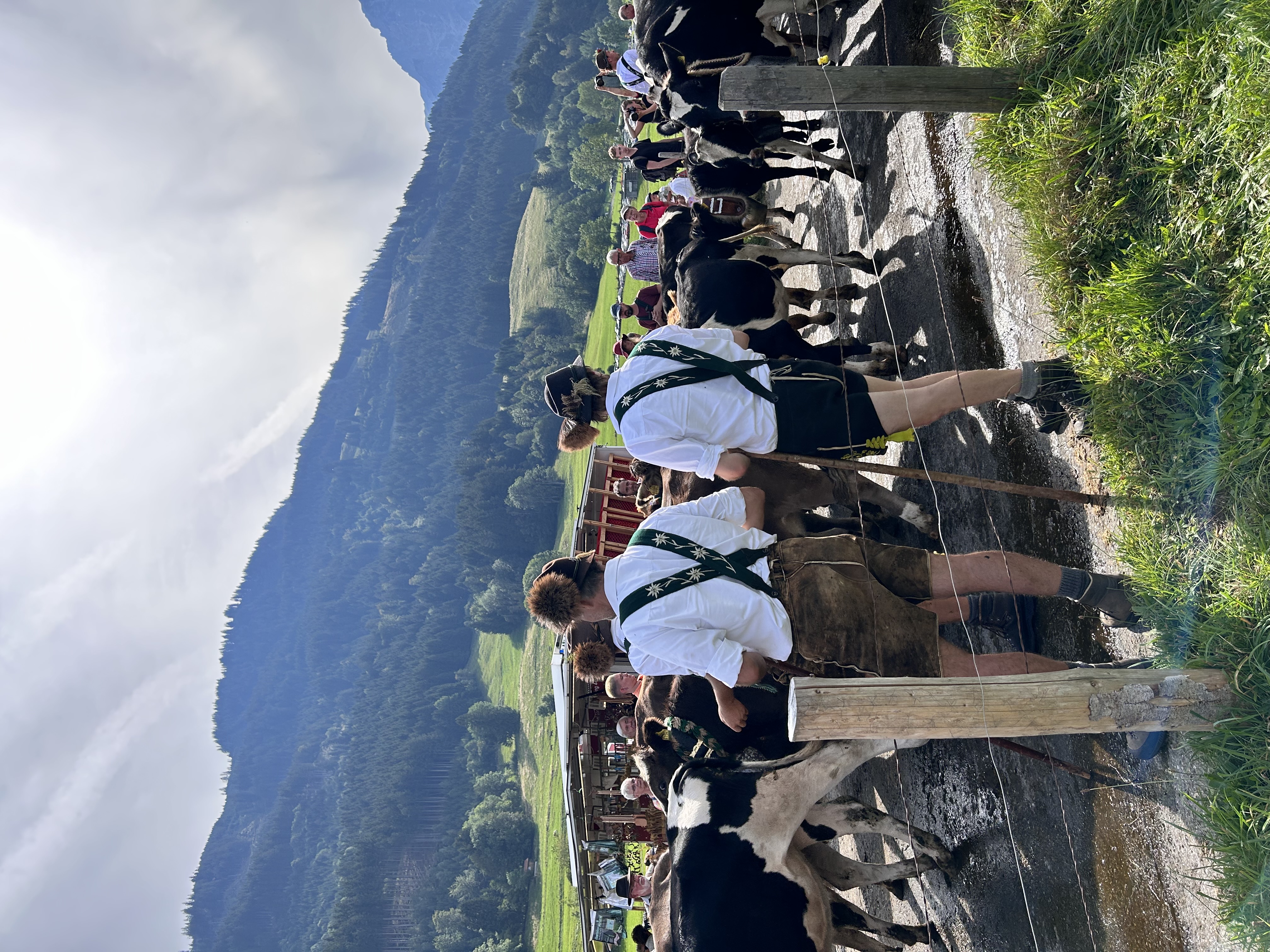 Veranstaltungen im Oberallgäu: Viehscheid in Schöllang am 10.09.2027