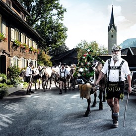 Veranstaltungen im Oberallgäu: Viehscheid / Alpabtrieb in Thalkirchdorf - Viehscheid 2024 mit Zeltfest in Thalkirchdorf 