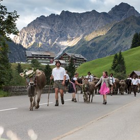 Veranstaltungen im Oberallgäu: Viehscheid im Kleinwalsertal  - Viehscheid im Kleinwalsertal 2024 *