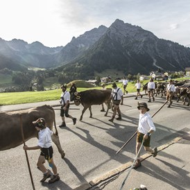 Veranstaltungen im Oberallgäu: Viehscheid im Kleinwalsertal  - Viehscheid im Kleinwalsertal 2024 *