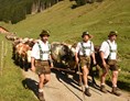 Veranstaltungen im Oberallgäu: Viehscheid 2023 im Oberallgäu