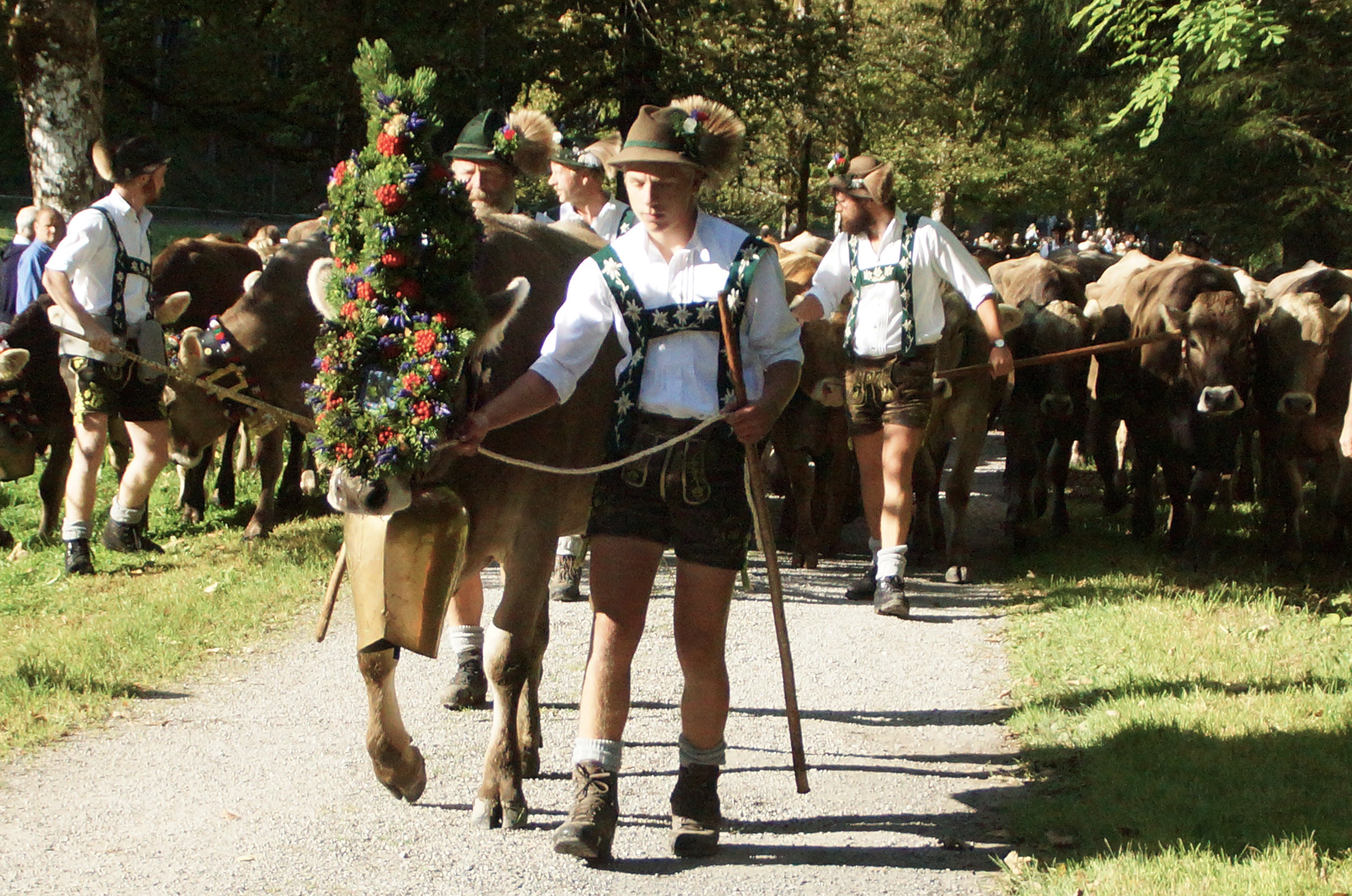 Veranstaltungen im Oberallgäu: Viehscheidtermine im Allgäu - Oberallgäu - Viehscheid 2026 im Allgäu - Oberallgäu