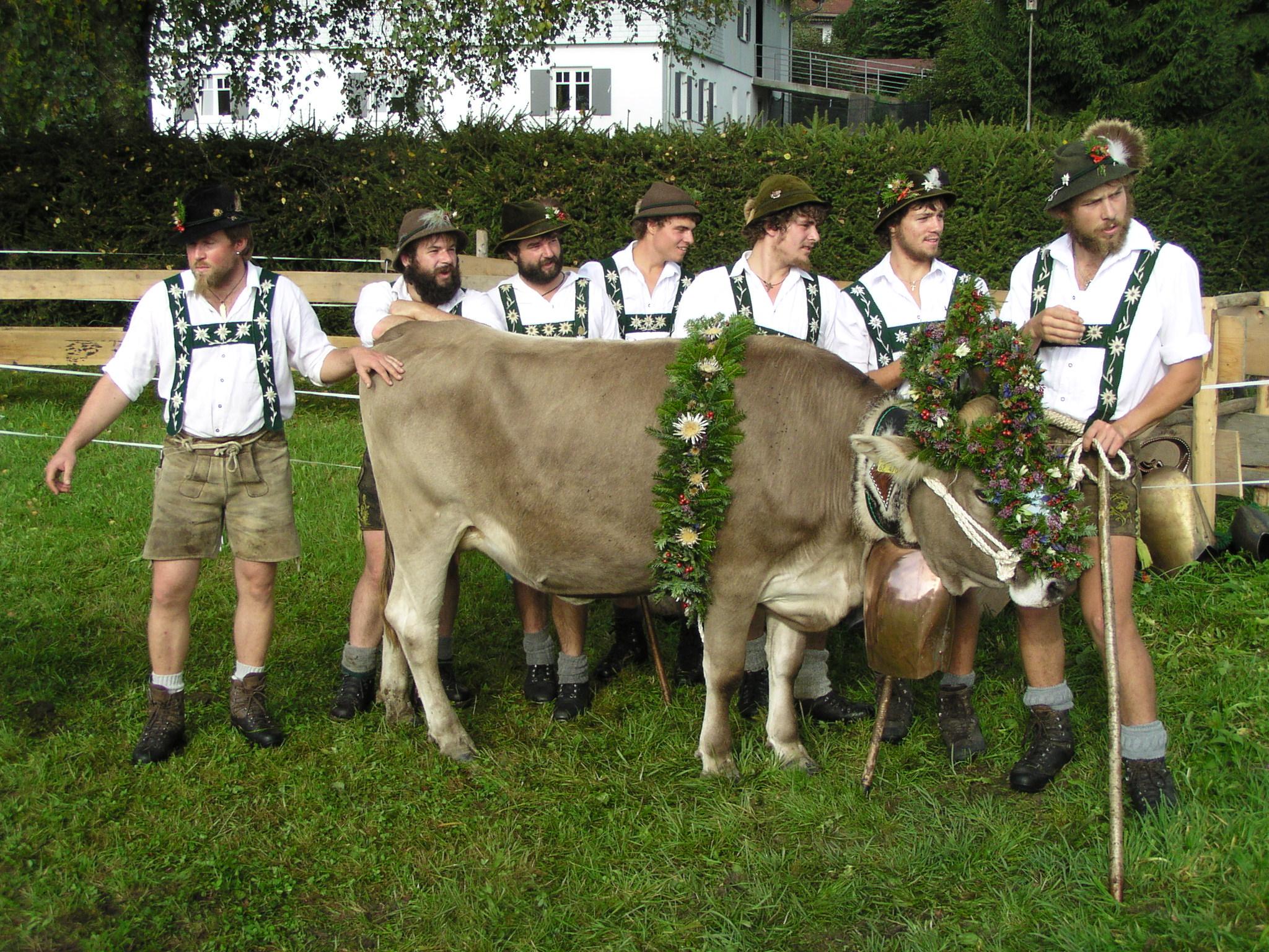 Veranstaltungen im Oberallgäu: Viehscheidtermine im Allgäu - Oberallgäu - Viehscheid 2026 im Allgäu - Oberallgäu und Kleinwalsertal