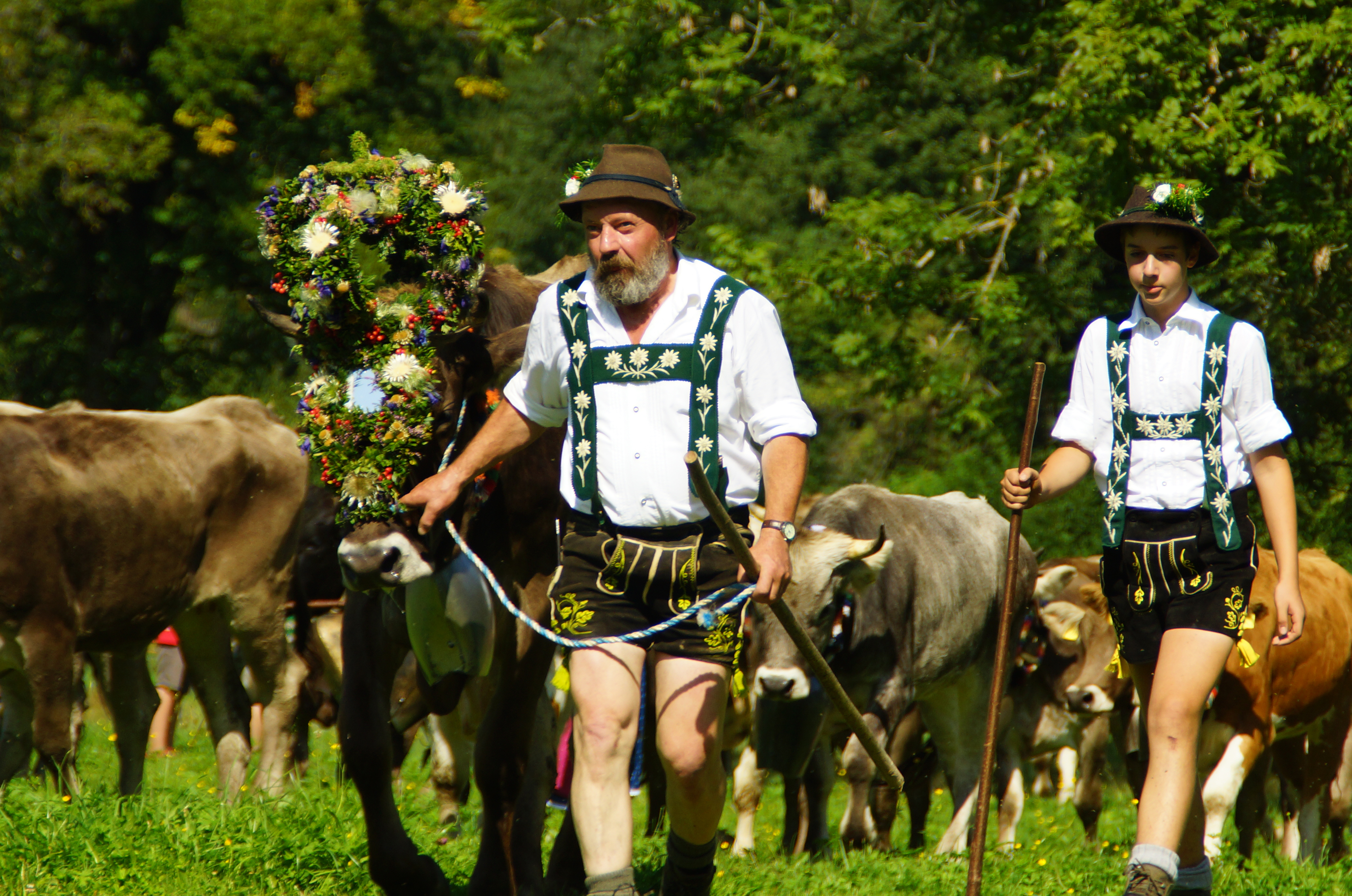 Hotels und Ferienwohnungen im Oberallgäu - Die Zeit des Alpabtriebs, der im Allgäu / Oberallgäu meist Viehscheid genannt wird, ist da! - Viehscheid 2026 im Allgäu - Oberallgäu und Kleinwalsertal