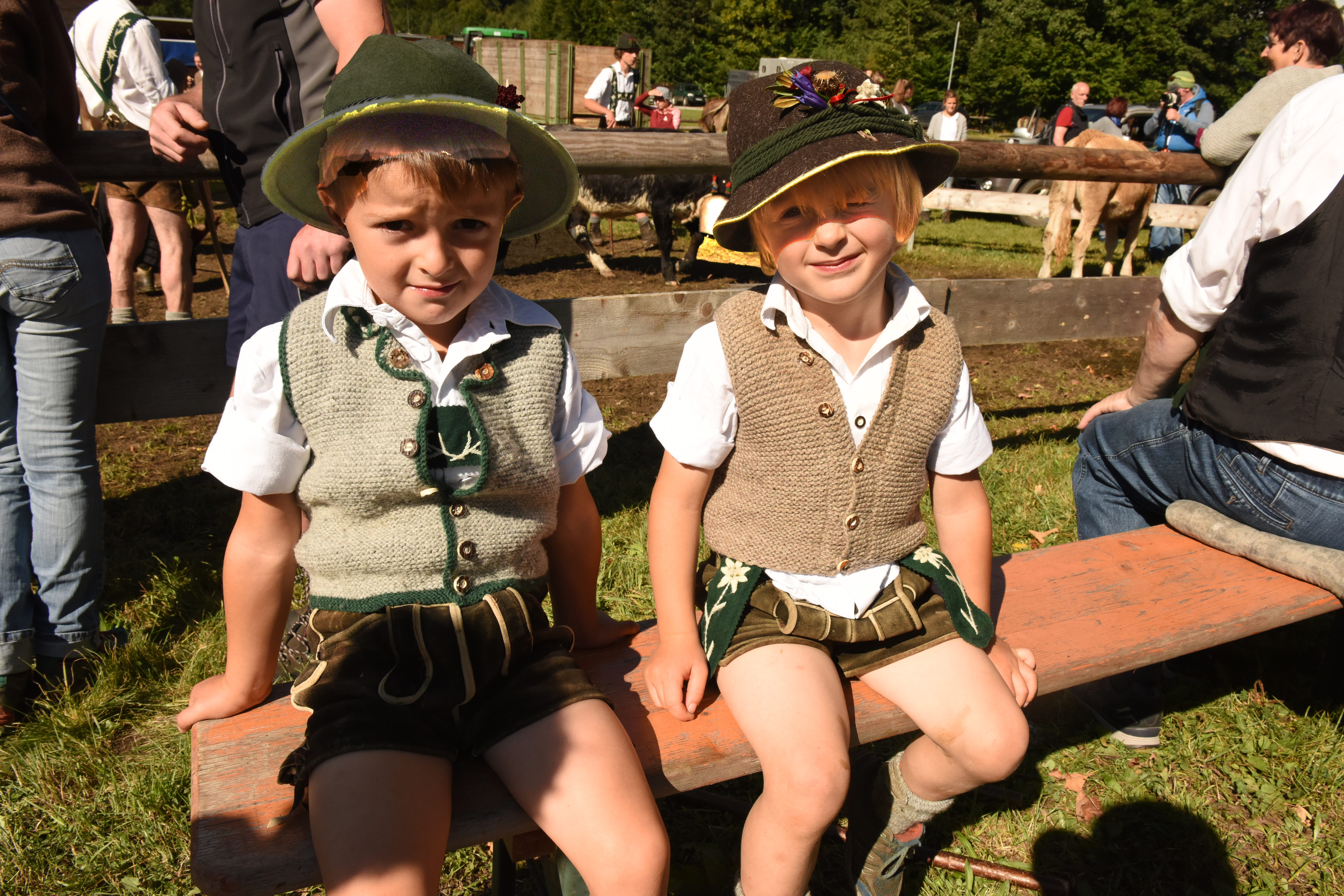 Veranstaltungen im Oberallgäu: Die Zeit des Alpabtriebs, der im Allgäu / Oberallgäu meist Viehscheid genannt wird, ist da! - Viehscheid 2026 im Allgäu - Oberallgäu und Kleinwalsertal