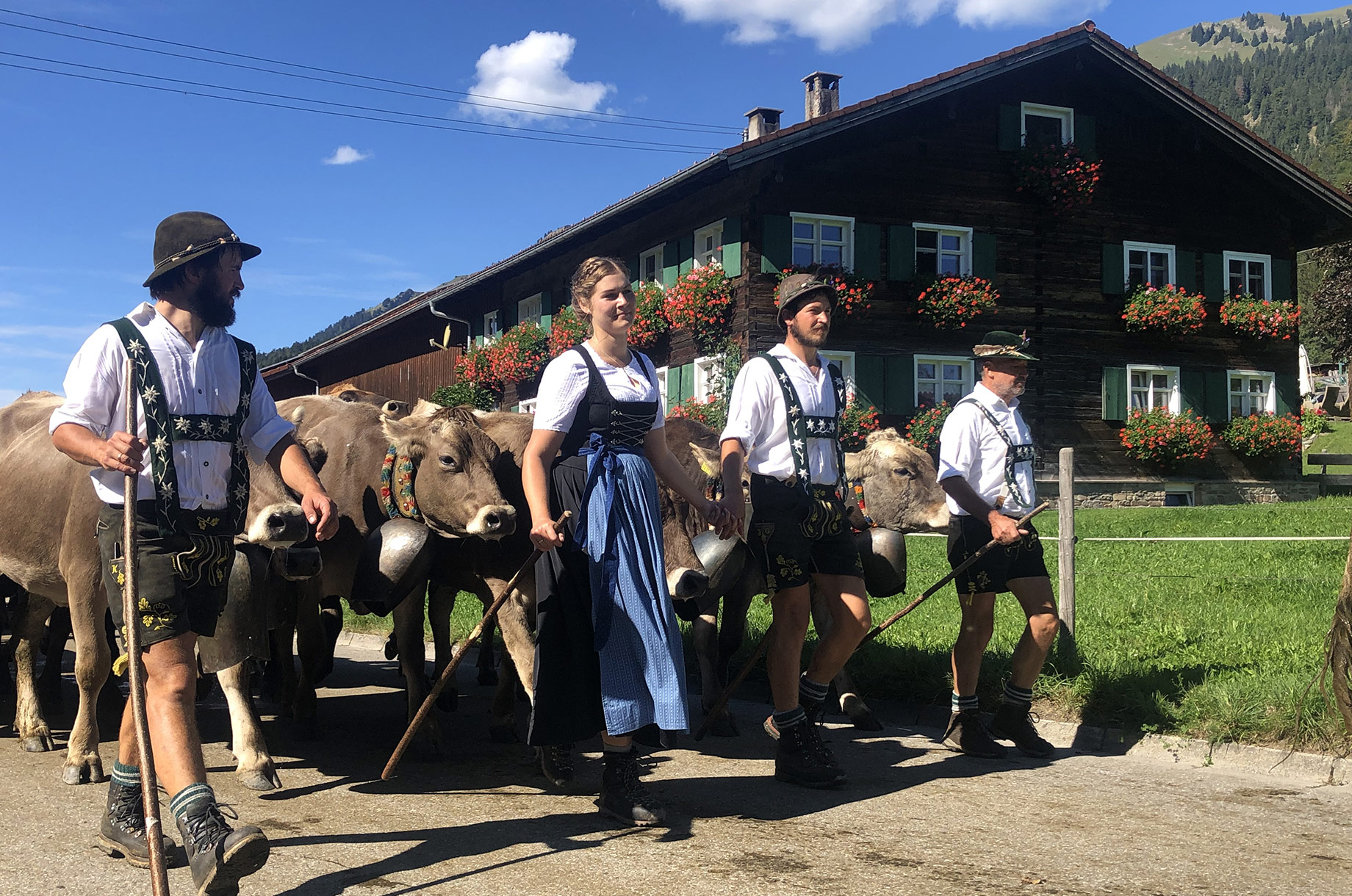 Veranstaltungen im Oberallgäu: Die Zeit des Alpabtriebs, der im Allgäu / Oberallgäu meist Viehscheid genannt wird, ist da! - Viehscheid 2026 im Allgäu - Oberallgäu und Kleinwalsertal