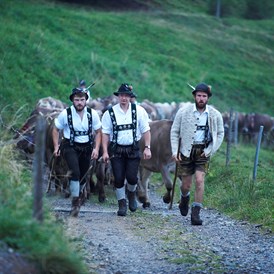 veranstaltung: Viehscheid in Oberstaufen 2022 *