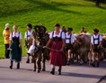 Veranstaltungen im Oberallgäu: Viehscheid in Unterjoch
