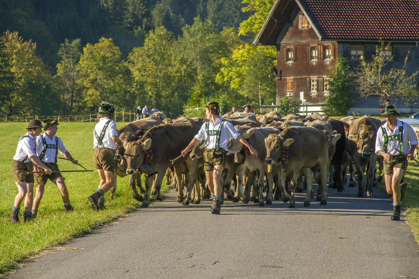 Viehscheid in Wertach 2024 mit Krämermarkt | Veranstaltungen im Oberallgäu  in Deutschland