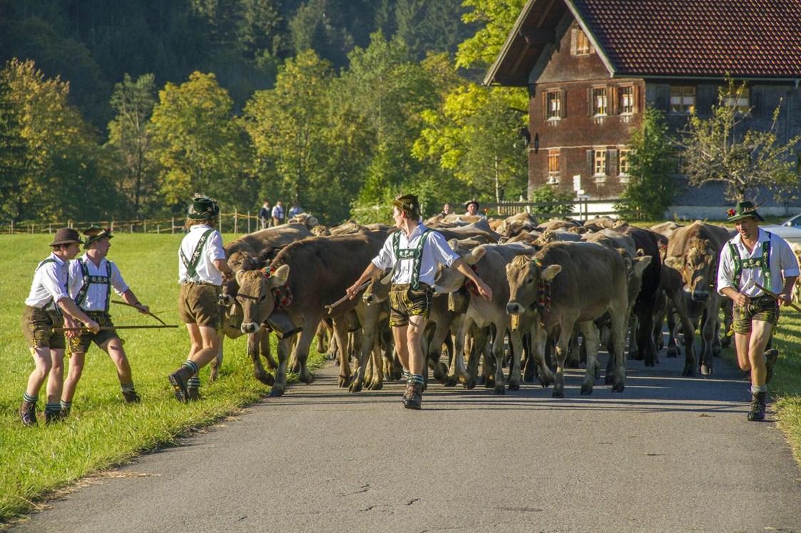Veranstaltungen im Oberallgäu: Viehscheid / Alpabtrieb in Wertach - Viehscheid in Wertach 2024 mit Krämermarkt