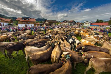Veranstaltungen im Oberallgäu: Alpabtrieb / Viehscheid in Wertach - Viehscheid in Wertach 2024 mit Krämermarkt