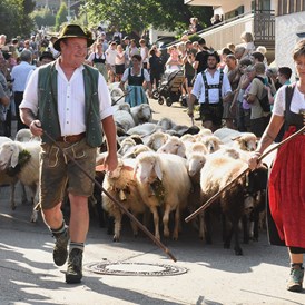 Veranstaltungen im Oberallgäu: Viehscheid in Kranzegg 2023 - Viehscheid in Kranzegg 2024