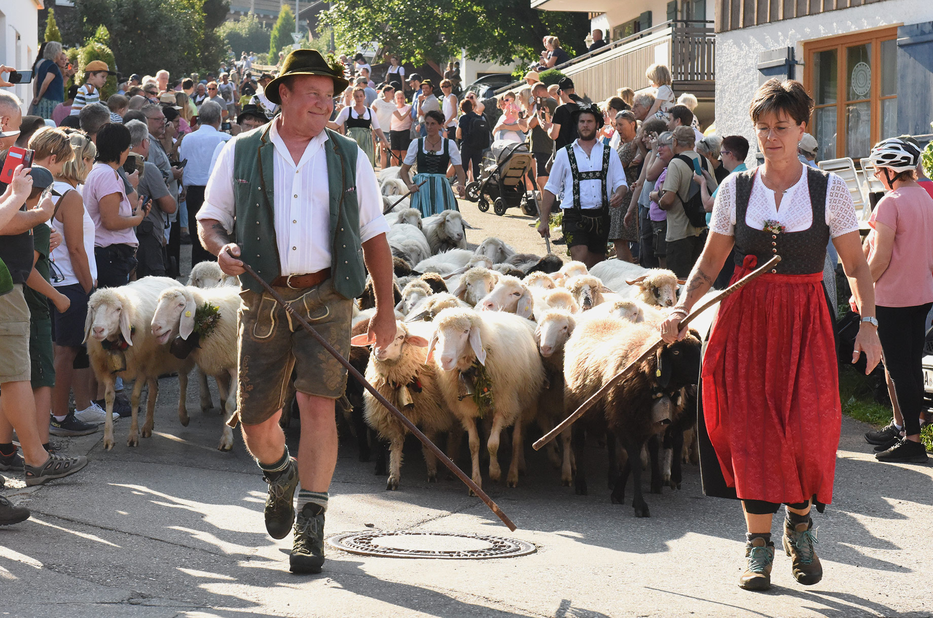 Veranstaltungen im Oberallgäu: Viehscheid in Kranzegg - Viehscheid in Rettenberg - Kranzegg 2026 findet nicht statt!