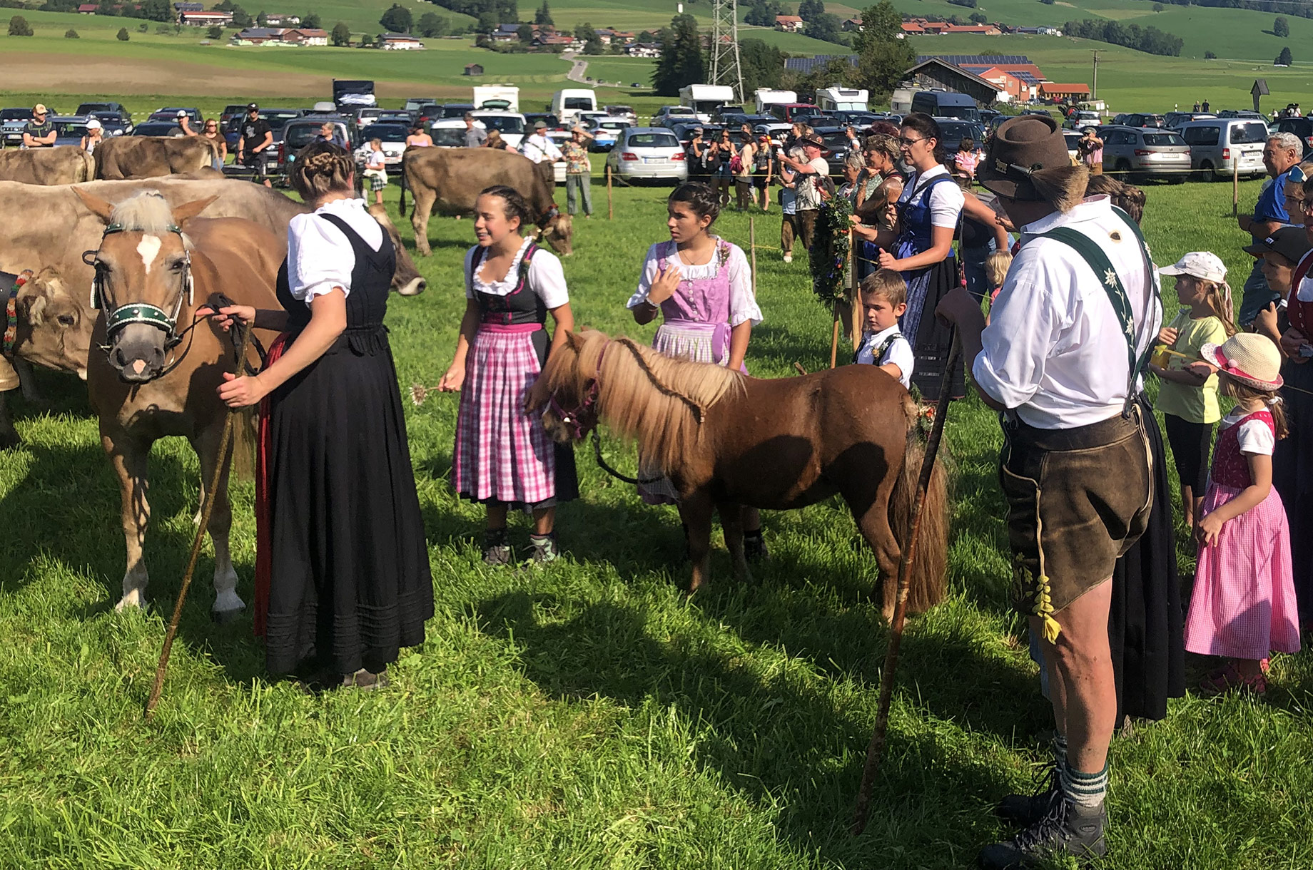 Veranstaltungen im Oberallgäu: Viehscheid in Kranzegg - Viehscheid in Rettenberg - Kranzegg 2026 findet nicht statt!