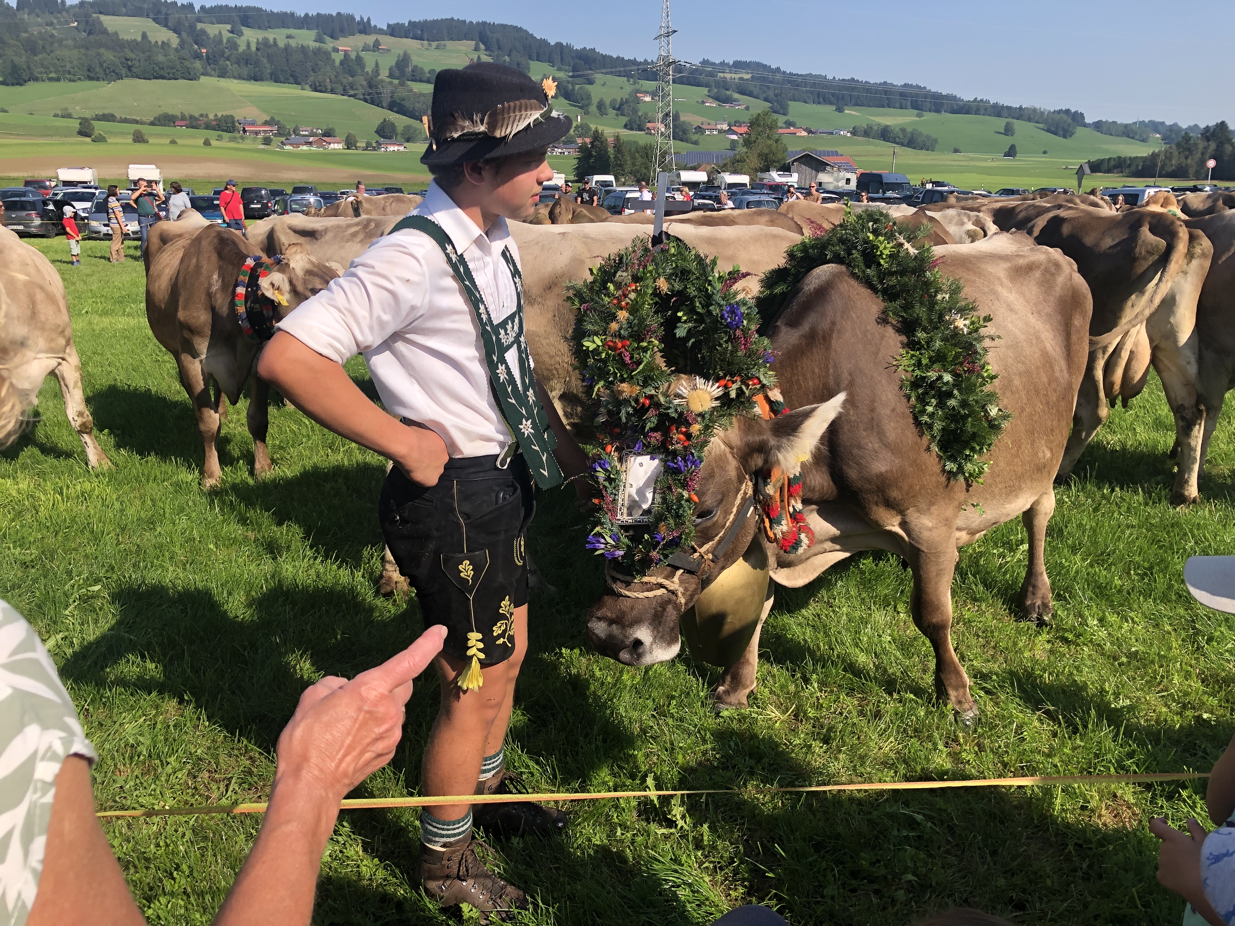 Veranstaltungen im Oberallgäu: Viehscheid in Kranzegg - Viehscheid in Rettenberg - Kranzegg