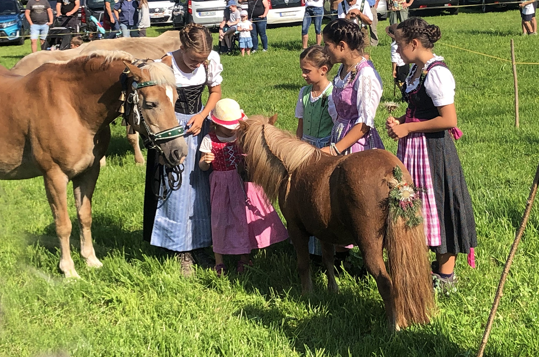 Veranstaltungen im Oberallgäu: Viehscheid in Kranzegg - Viehscheid in Rettenberg - Kranzegg
