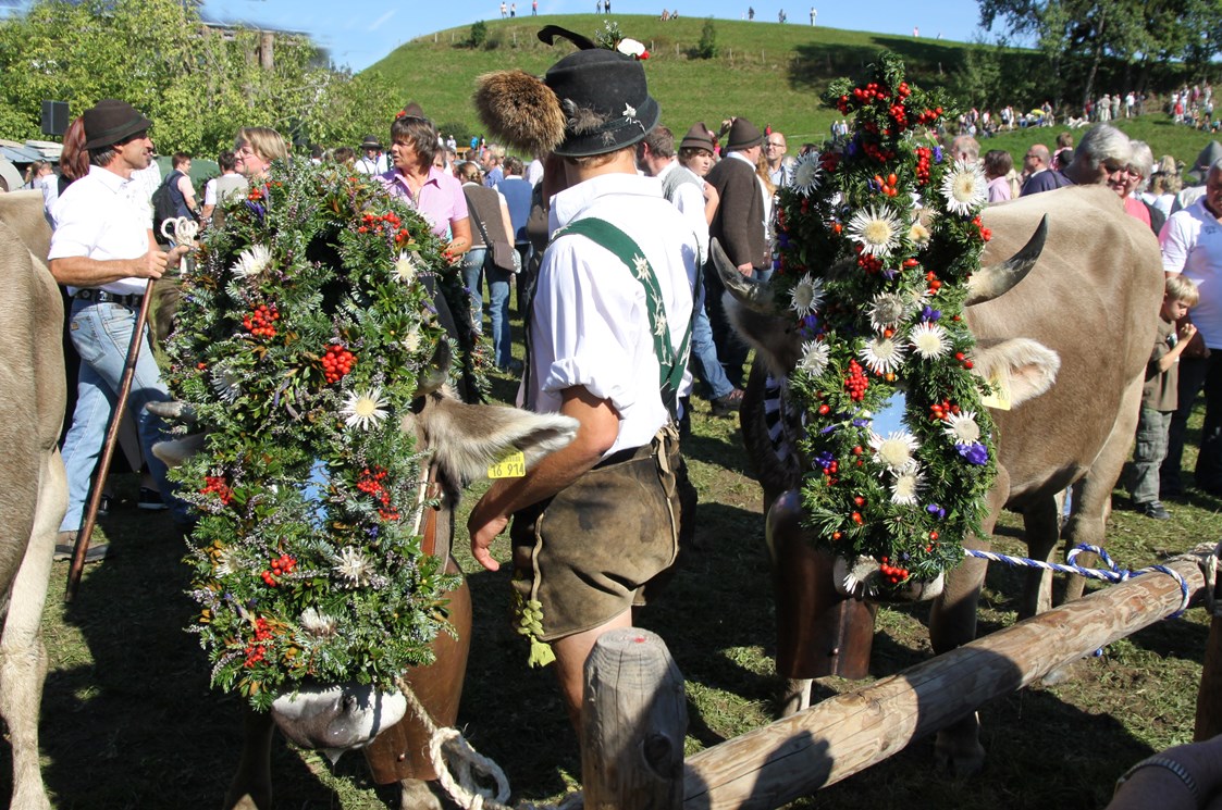 veranstaltung: Viehscheid in Obermaiselstein im Allgäu - Viehscheid Obermaiselstein 2022 - zurück zu den Wurzeln *