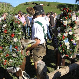 veranstaltung: Viehscheid in Obermaiselstein im Allgäu - Viehscheid Obermaiselstein 2022 - zurück zu den Wurzeln *