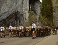 veranstaltung: Viehscheid  - Alpabtrieb in Obermaiselstein im Allgäu - Viehscheid Obermaiselstein 2022 - zurück zu den Wurzeln *